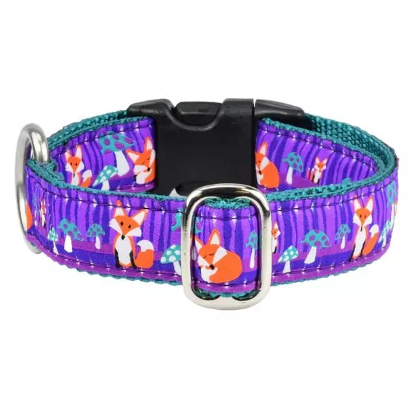 2 Hounds Design 1″ Nocturnal – Fox and Mushroom Essential Martingale Dog Collar