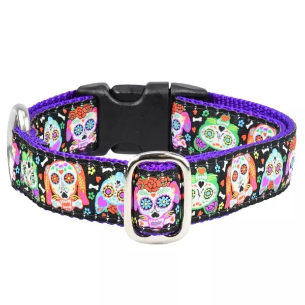 2 Hounds Design 1″ XOLO – Sugar Skull Essential Martingale Dog Collar