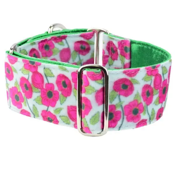 2 Hounds Design Bold Poppies Elite Velvet Martingale Dog Collar
