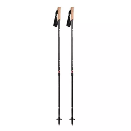 Andesite Trekking Poles