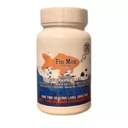 FISH MOX 250MG / 500MG 30-CAPSULES