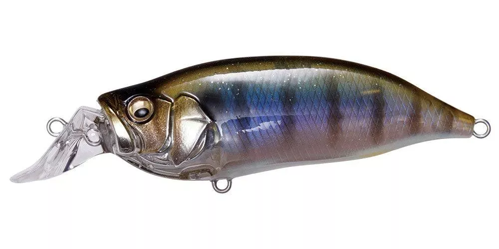 Megabass IXI Shad Type R