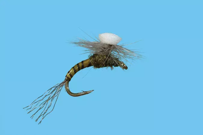Solitude Brooks’ Sprout Midge
